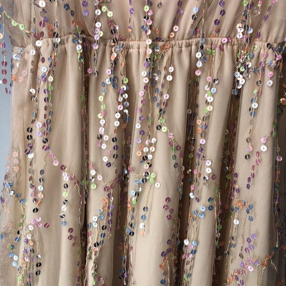 Southern Fried Chics Mini Dress Womens XL  Beige Shimmy For Me Mesh Sequins - Picture 6 of 16